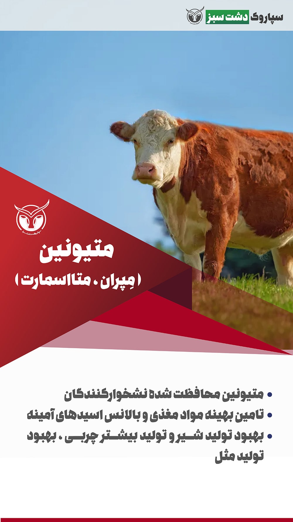 محصولات دسته‌بندی سایر افزودنی‌ها