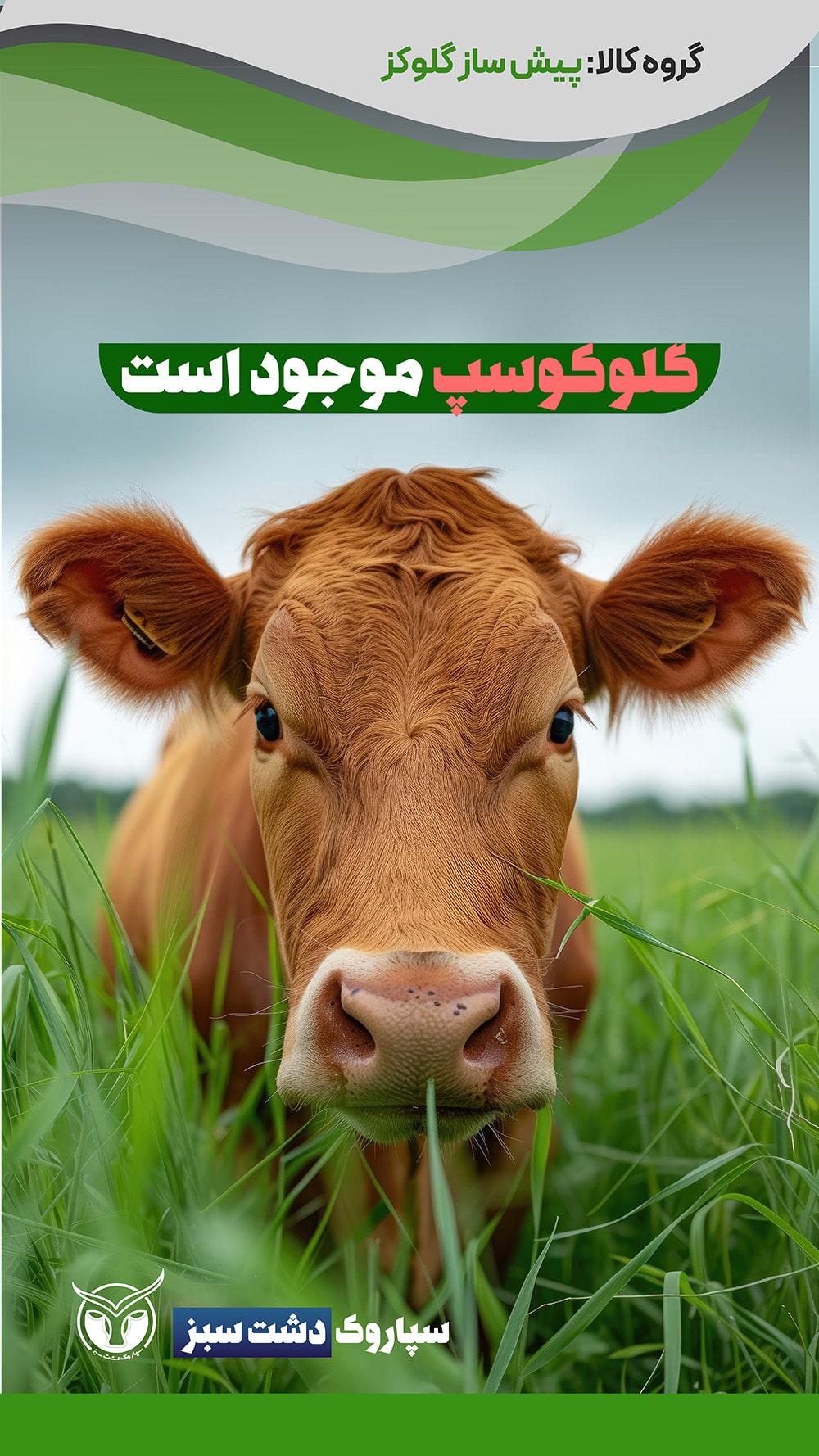 محصولات دسته‌بندی پیش‌ساز گلوکز