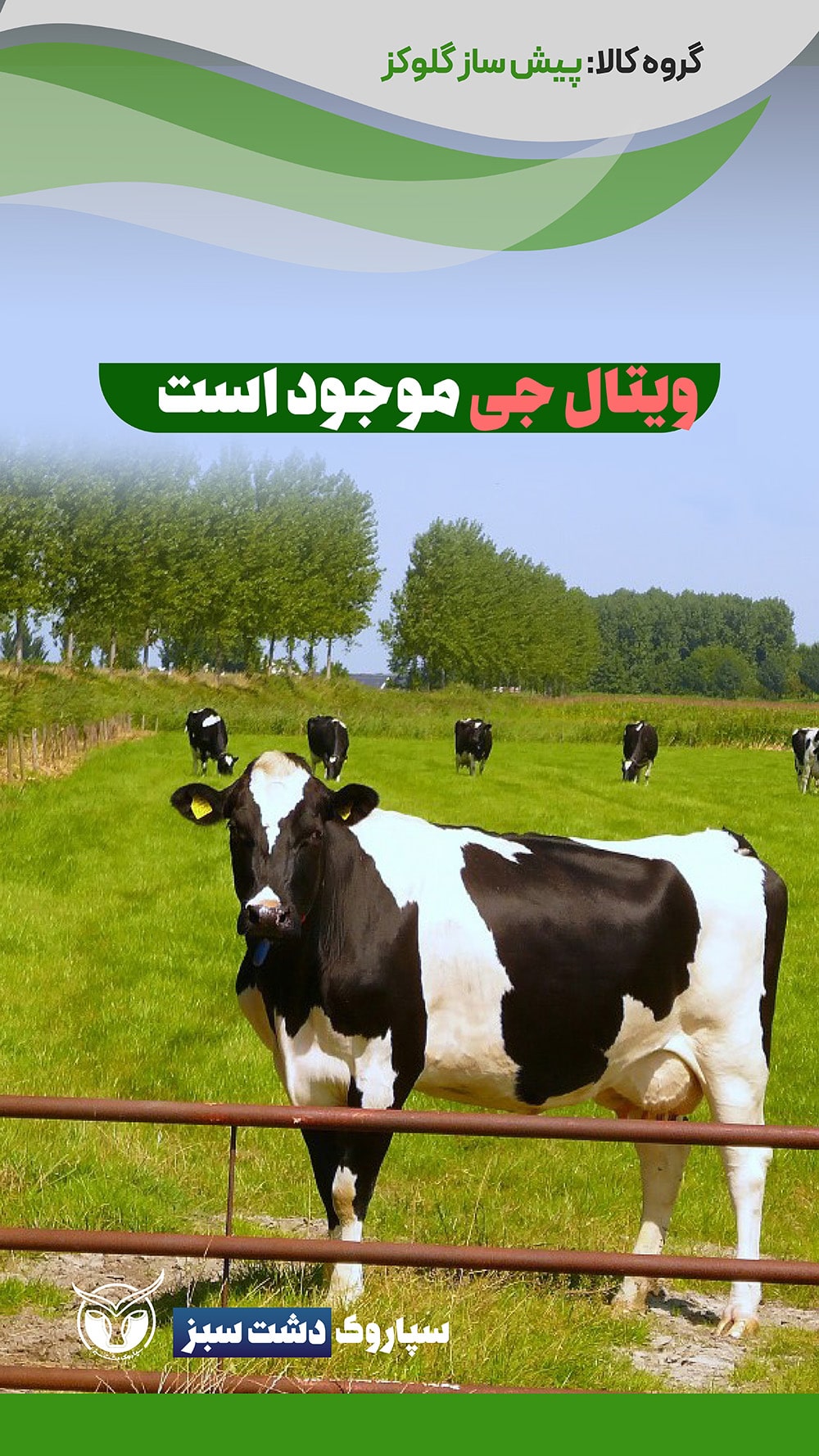 محصولات دسته‌بندی پیش‌ساز گلوکز