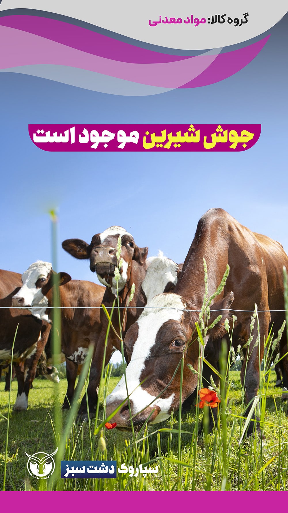 محصولات دسته‌بندی مواد معدنی