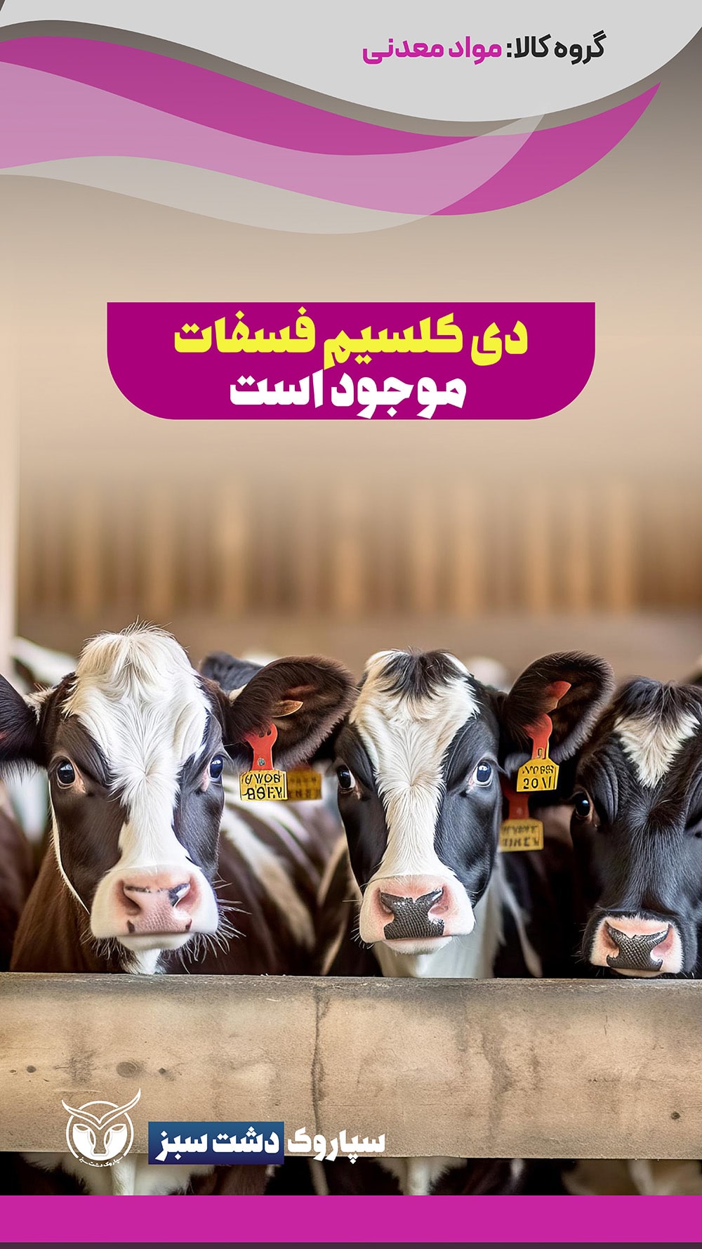 محصولات دسته‌بندی مواد معدنی