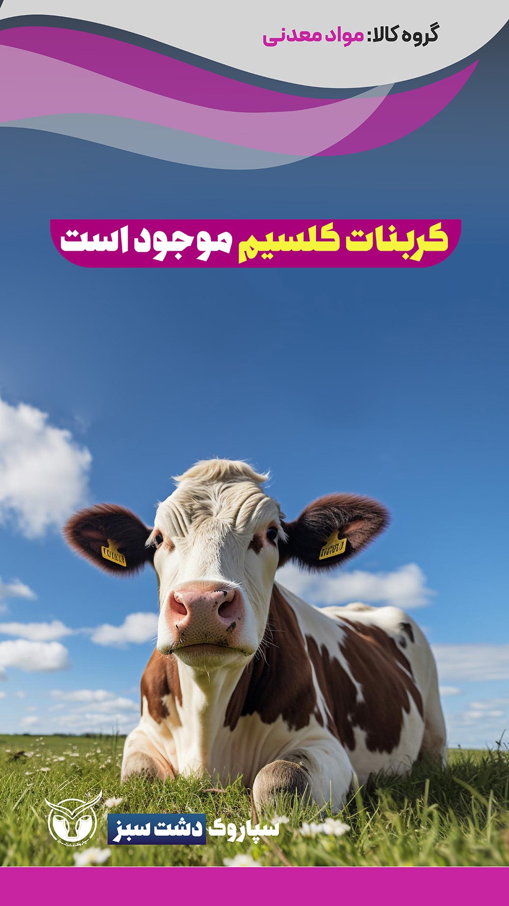 محصولات دسته‌بندی مواد معدنی